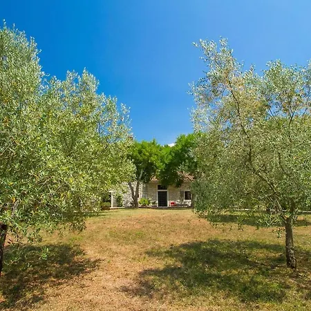 Tatil Evi Bura